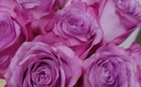 ��ϲ�gõ�廨��С�W������300�֣�ͨ��25ƪ��