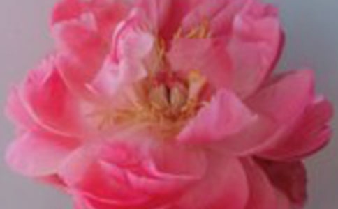 ��־���£�õ�岻�����`��