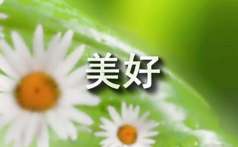 遺失的美好作文(精選)