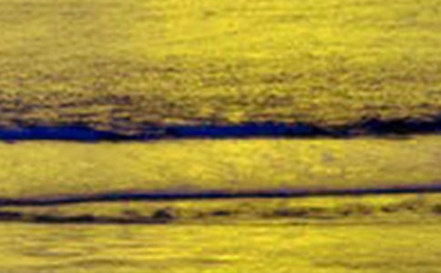 【精選】美景作文400字3篇