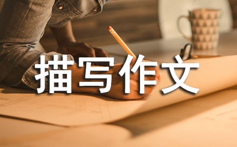 �P(gu��n)�������茑�����u�Z(3)