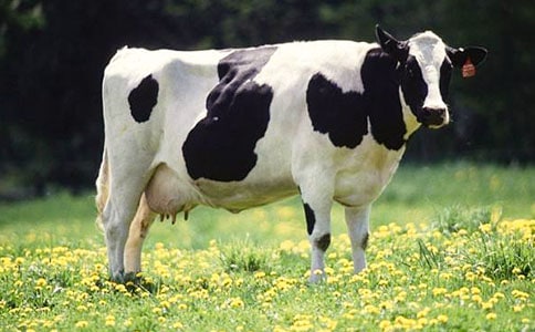 ��ţ�I(m��i)�u(m��i)��ͬ