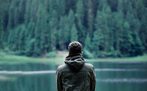 �������Խ��������}