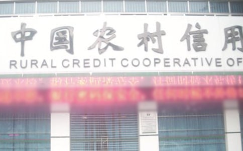 農村信用社借款申請書范文通用