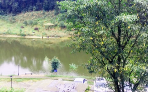 ���r(n��ng)�Ҙ�����15ƪ����Ʒ��