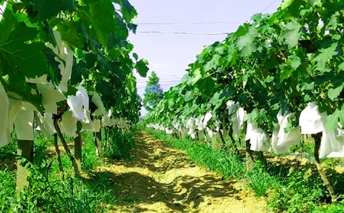 �r(n��ng)�Ҙ�(l��)���ąR��[14ƪ]