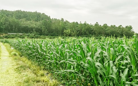 �����]���r(n��ng)�Ҙ�����15ƪ