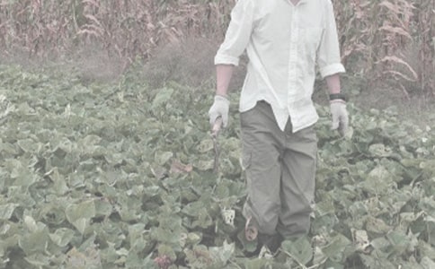 �r(n��ng)���￹���C�ϼ��g(sh��)����