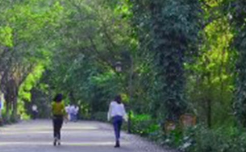 ��(y��u)����ɽ��ӛ