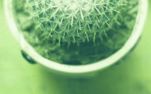 ���Զ����B(y��ng)ֳ����Щ����