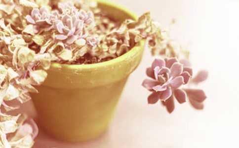 ���Ի����x�������