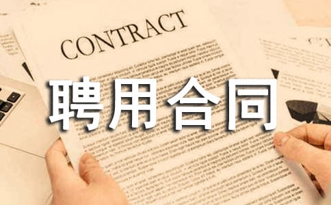 醫(yī)務人員聘用合同