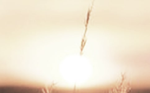 �ƕԵĳ�������450��