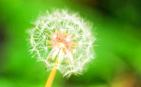 �P(gu��n)���ѹ�Ӣ��Ψ�����Ӻ���