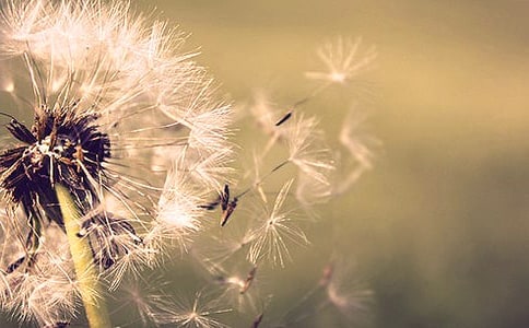 �ѹ�Ӣ�N������