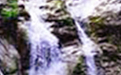 �S����(sh��)�ٲ��n��[�؂�15ƪ]