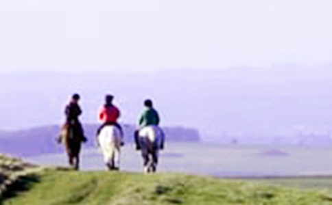 ��һ���T�R���ģ����x32ƪ��