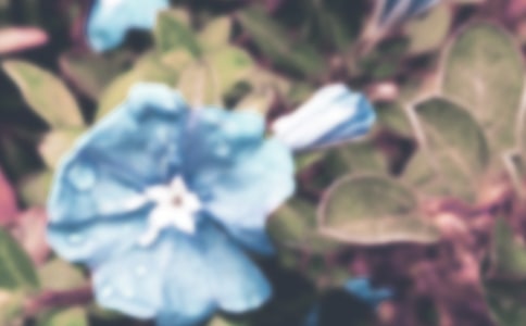 �����]����ţ��������ƪ