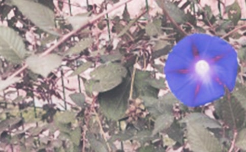 ��ţ�����L(zh��ng)�^�����ģ����x30ƪ��