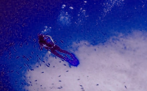 ��(m��ng)Ҋ��ˮ��ʲô��˼