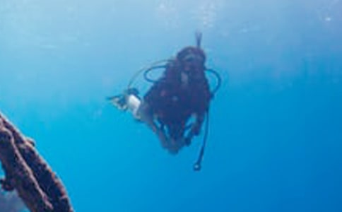 [���A]��һ�Ν�ˮ����15ƪ