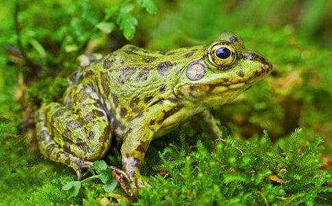 �����T�����o(h��)����