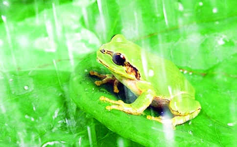 ���؂䣩���ܺ���ܵĹ���