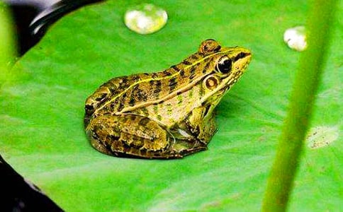 С���ܚv�Uӛ15ƪ[��(y��u)�x]