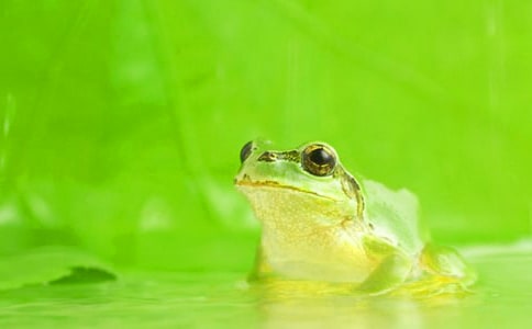 ���o���ܿ��D��Ԓ15ƪ������