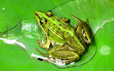 ���ܵ���������