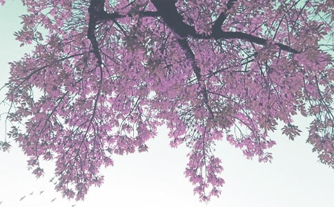 С����＾�̌W(xu��)Ӌ��