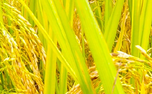 [ͨ��]���յ�����15ƪ