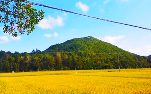 ���յĺ���15ƪ(���A)