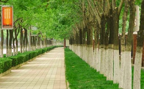 ���е�ͣ܇(ch��)���η��������x5ƪ��