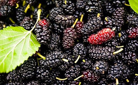 ɣ�ص�����