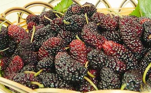 ժɣ������(10ƪ)