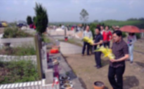 ��Ĺ������[���x]