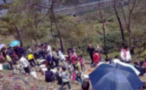 ��Ĺ_����ӛ����_��������