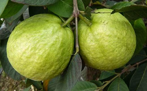 [ͨ��]ժʯ������33ƪ