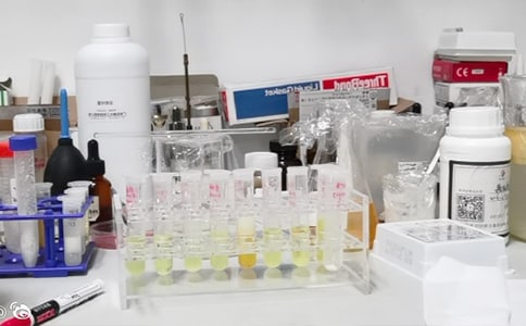 ����Ұ�ȫ؟�Ε�(���\15ƪ)