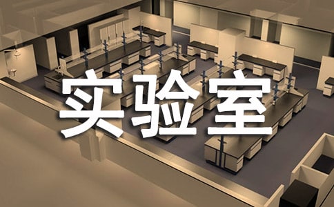 ���W(xu��)��(sh��)�(y��n)���о�����Ӣ������