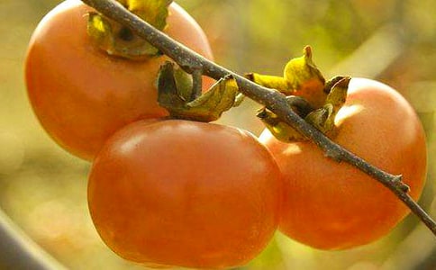 ���l(xi��ng)�����Ә�(sh��)����