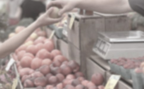 菜市場見聞作文