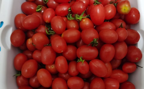 ˮ��Ψ���ľ���