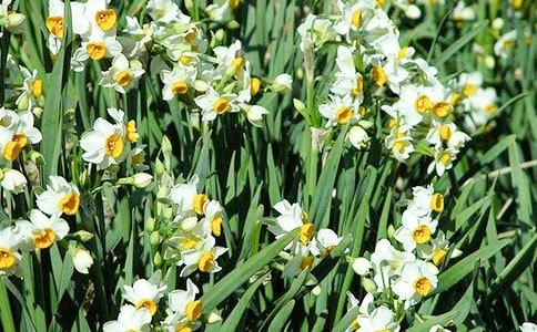 ˮ�ɻ������\����15ƪ��