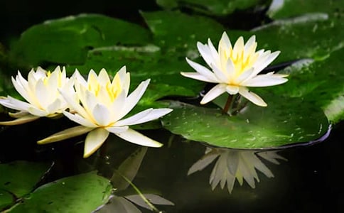 �`�ŵ�˯ɏ����