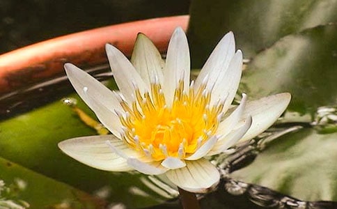 ���؂䡿˯ɏ������15ƪ