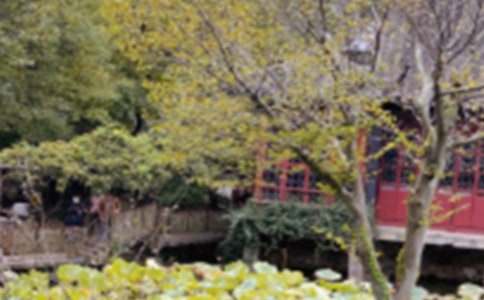 ��(xi��)�������K�݈@�ּ�����