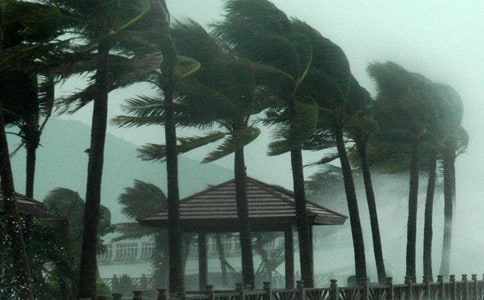 [����]�_�L(f��ng)�^������15ƪ