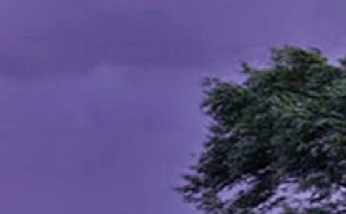 �_�L(f��ng)��������